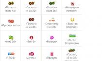 Kuidas kontrollida piletit Stolotos numbri järgi: eluaseme loterii, vene loterii Stargazeri loterii pileti kontroll
