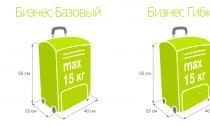 Ръчен багаж на полети на s7: какво е позволено и какво не е позволено